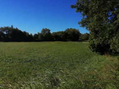 photo For sale Land PERNES-LES-FONTAINES 84