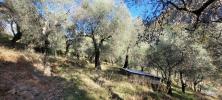 For sale Land Breil-sur-roya  06540 2072 m2