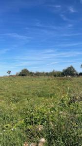 photo For sale Land JALLAUCOURT 57