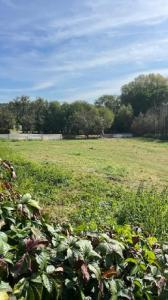 Vente Terrain MONCEL-SUR-SEILLE 54280