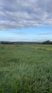 For sale Land HARAUCOURT  54