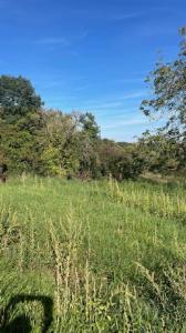 For sale Land BOUXIERES-AUX-CHENES  54