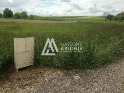 For sale Land PETITES-LOGES  51