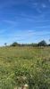 For sale Land Jallaucourt  57590 1670 m2