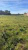 Acheter Terrain Jallaucourt 63000 euros