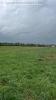 Acheter Terrain 775 m2 Haraucourt