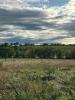 Annonce Vente Terrain Moncel-sur-seille