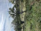 Acheter Terrain Moncel-sur-seille 55000 euros