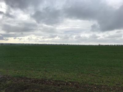 photo For sale Land SOUBISE 17