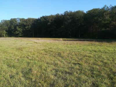 For sale Land VIGNOUX-SUR-BARANGEON  18