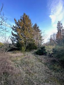 For sale Land MEHUN-SUR-YEVRE  18