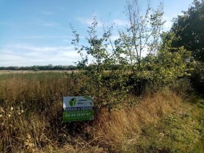 photo For sale Land MARMAGNE 18