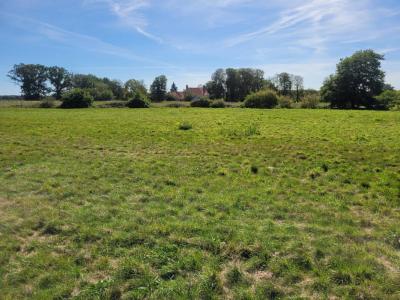 Vente Terrain SAINT-AOUT 36120