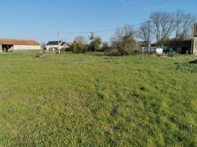 For sale Land SAINT-MARTIN-DES-CHAMPS  18