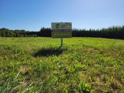 photo For sale Land PRUNIERS 36
