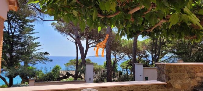 photo For sale House SAINTE-MAXIME 83