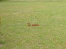 For sale Land Allibaudieres PLANCY-L'ABBAYE 10700 1592 m2