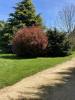 Annonce Vente 8 pièces Maison Civray
