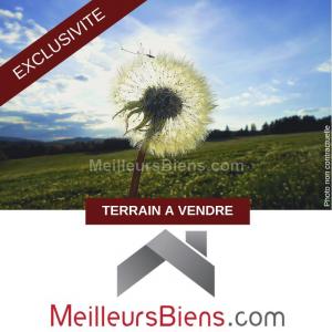 Vente Terrain SAINT-GERMAIN-DE-SALLES 03140