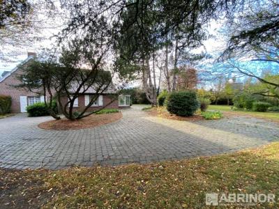 For sale House ORCHIES 