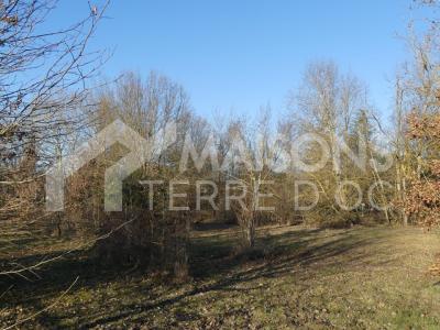 Vente Maison GRAULHET 