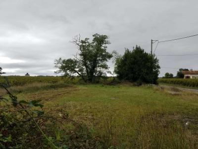 Vente Maison 4 pièces PAUILLAC 33250