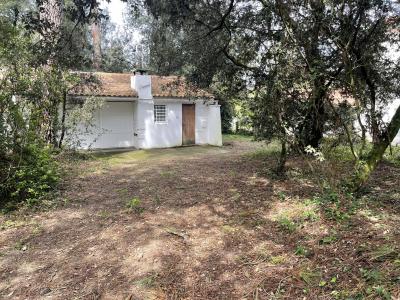 Vente Maison MESCHERS-SUR-GIRONDE 17132