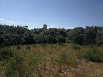 For sale Land CABRIERES-D'AVIGNON  84