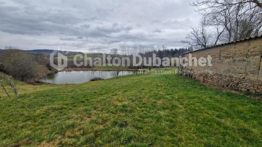 photo For sale House COTTANCE 42