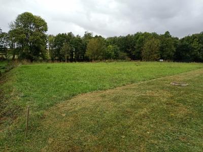 photo For sale Land SAINT-CIERS-DU-TAILLON 17