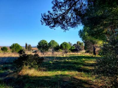 For sale House ALIGNAN-DU-VENT 