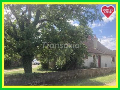 photo For sale House AVORD 18