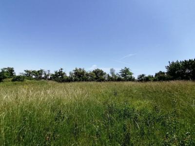 photo For sale Land AUCH 32