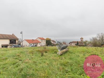 photo For sale Land LANDREMONT 54