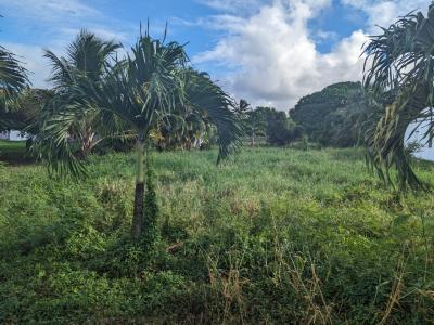 photo For sale Land SAINT-FRANCOIS 971