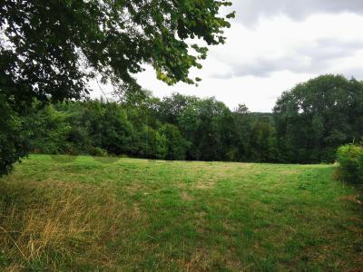 For sale Land CHAPDES-BEAUFORT  63