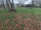 For sale Land Saint-sauveur  33250