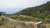 Acheter Terrain Eze 3300000 euros