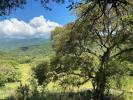 Annonce Vente 3 pièces Maison Petreto-bicchisano