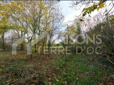 photo For sale Land LONGAGES 31