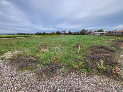 photo For sale Land CHAMBEON 42