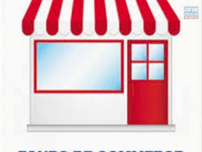 Vente Commerce SAINT-DENIS 97400