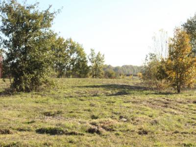 photo For sale Land NEGREPELISSE 82