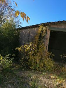 Vente Maison SAINT-BAUZILLE-DE-MONTMEL  34