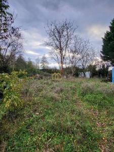 photo For sale Land CORNE 49