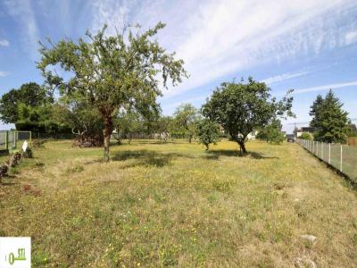 photo For sale Land SAINTE-GENEVIEVE-DES-BOIS 45