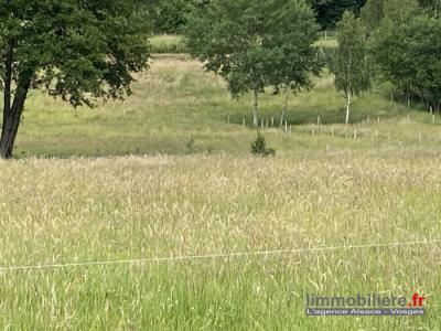 photo For sale Land MANDRAY 88