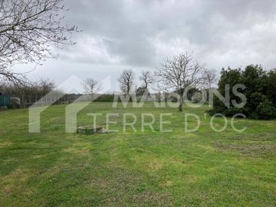 photo For sale Land PLAISANCE-DU-TOUCH 31