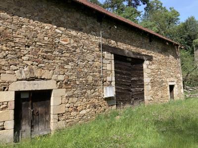For sale Land CHATEAUNEUF-LA-FORET  87