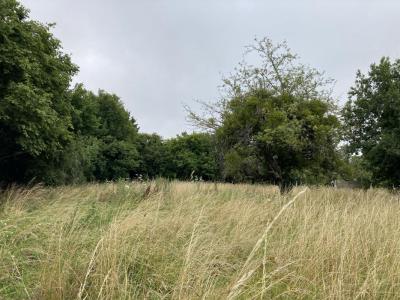 photo For sale Land MAGNAC-BOURG 87